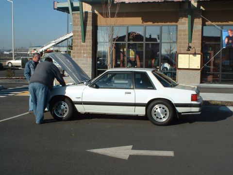 2000 Ford Crown Victoria - Two men examine the engine of a white 1987 Ford Mustang coupe parked outside a building.
