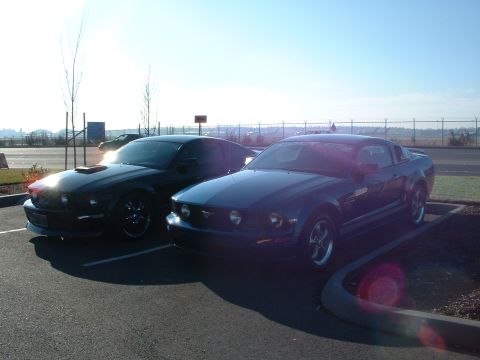 2000 Ford Crown Victoria - Two Ford Mustangs, one dark blue with racing stripes and another black, are parked in a lot under a bright sky.