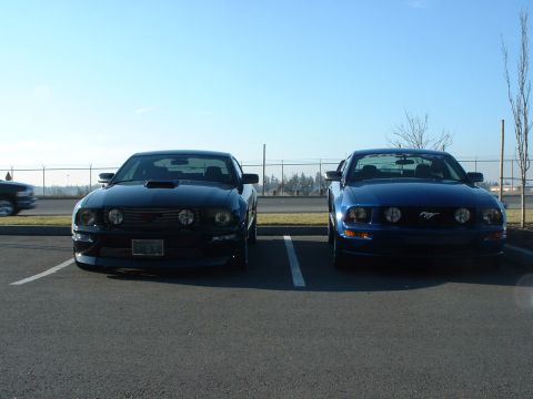 2000 Ford Crown Victoria - Two Ford Mustangs are parked in a lot, one black and one blue, with a fence and trees in the background.