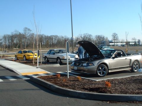 2000 Ford Crown Victoria - Several cars are parked in a lot on a sunny day, with one convertible's hood open.