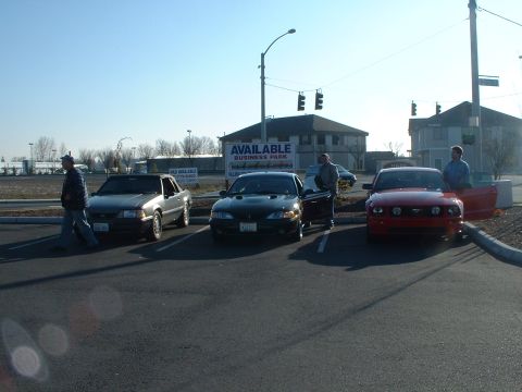 2000 Ford Crown Victoria - Three Ford Mustangs are parked in a lot on a sunny day.