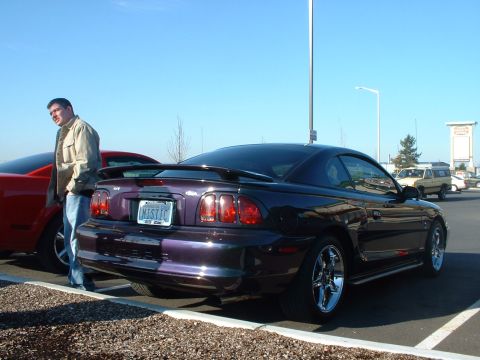 2000 Ford Crown Victoria - Purple Ford Mustang parked in a lot with a red car and a man standing nearby.