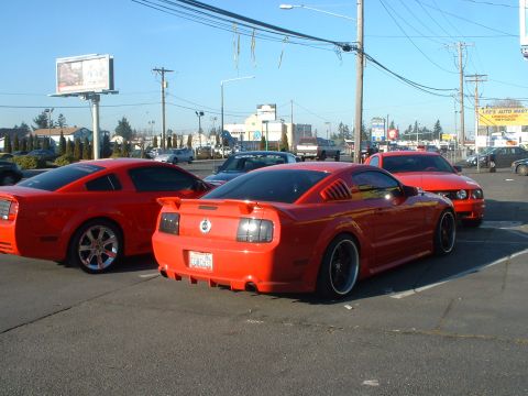 2000 Ford Crown Victoria - Three red Ford Mustangs are parked in a lot under a bright blue sky.