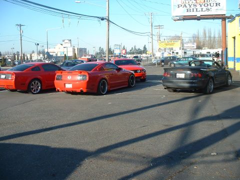 2000 Ford Crown Victoria - Multiple Ford Mustangs are seen parked in a lot, with a black convertible Mustang also visible.
