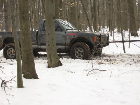 1979 Ford Bronco - A gray Dodge Dakota pickup truck is stuck in the snow amidst trees.