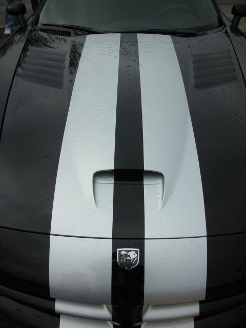 1998 Ford Crown Victoria - Overhead close-up of a black Dodge Viper hood with silver stripes, central scoop, and the Viper snake emblem, dotted with rain.
