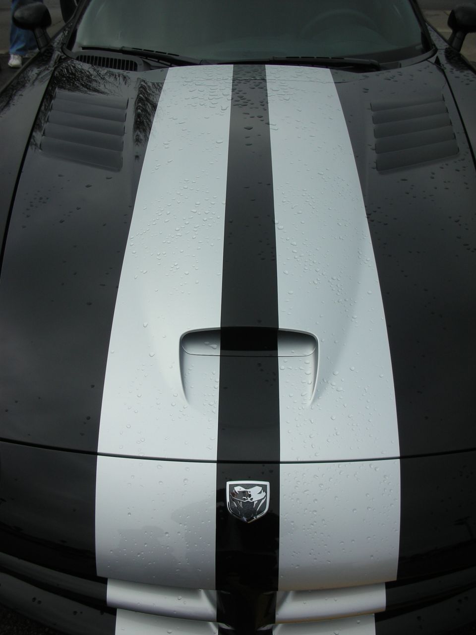 Black Dodge Viper hood with silver stripes and Viper emblem, beaded with rain