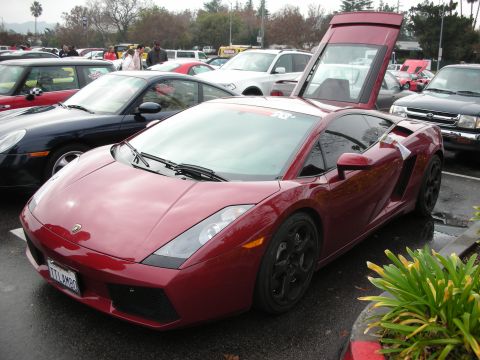 1998 Ford Crown Victoria - dark red Lamborghini Gallardo sits in a packed parking lot with its driver door raised, black wheels, and a front plate.