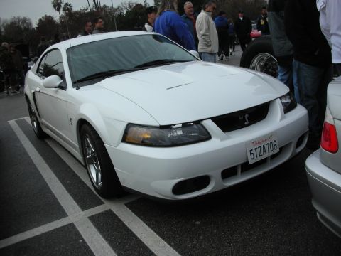 1998 Ford Crown Victoria - white Ford Mustang SVT Cobra coupe with chrome five-spoke wheels parked at a crowded outdoor car meet.
