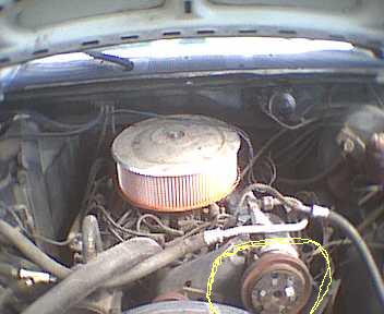 1982 Ford Bronco - blah