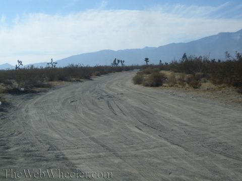 1990 Ford Bronco - wide, tire-tracked dirt road curves through desert scrub and Joshua trees toward distant mountains.