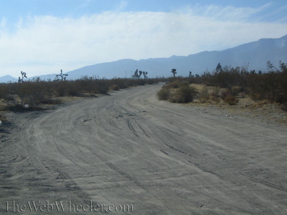 Curving dirt road through desert scrub with mountains in the distance