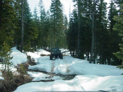 1986 Ford Bronco - A vehicle navigates a snow-covered path through a dense forest.
