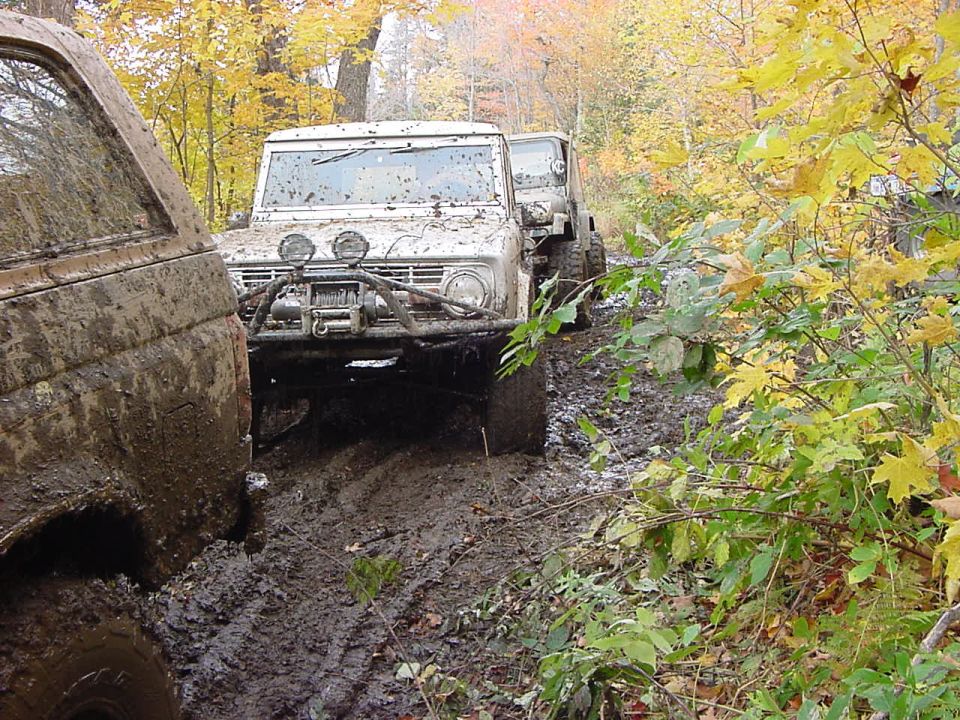 Muddy off-road vehicles driving through a forest trail in autumn