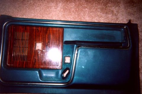 1982 Ford Bronco - door panel before i painted