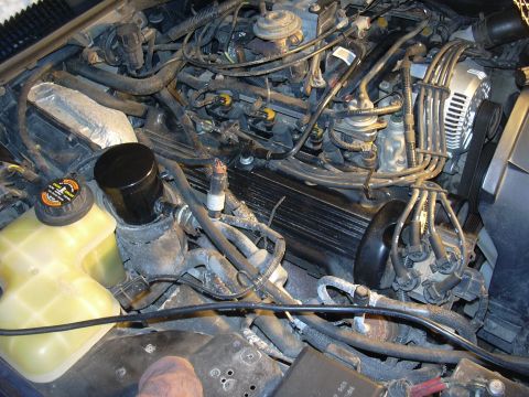 1996 Ford Crown Victoria - Close-up view of the engine bay in a 1996 Ford Crown Victoria, showing various components and wiring.
