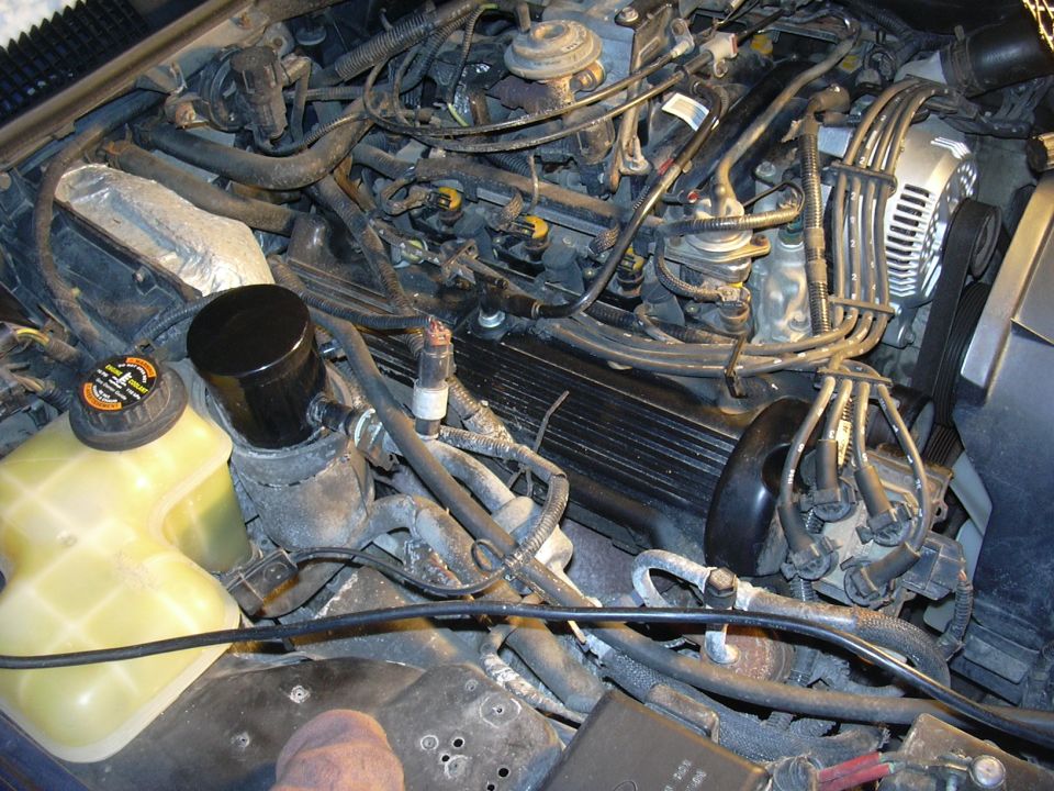 Engine bay with spark plug wires, alternator, serpentine belt and coolant overflow tank