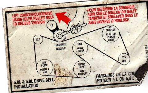 1989 Ford Bronco - Underhood belt-routing decal showing the serpentine drive belt path around the accessories for Ford 5.0L and 5.8L engines.