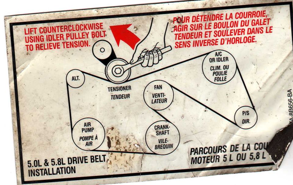 Underhood serpentine drive-belt routing label for Ford 5.0L and 5.8L engines