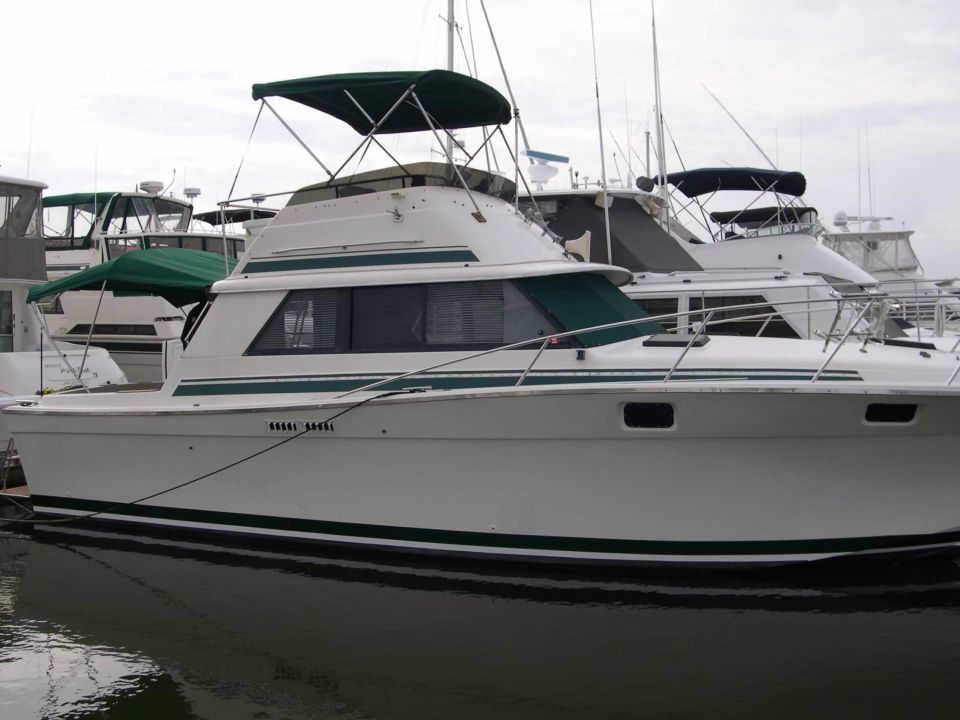 White and green flybridge cabin cruiser boat docked in a marina