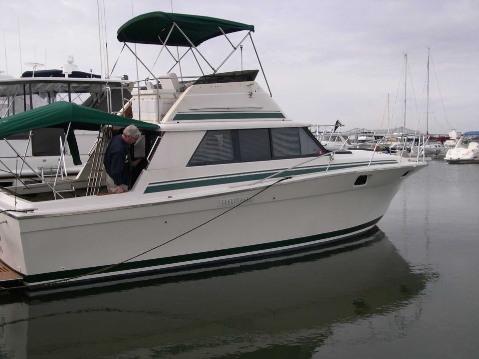 White boat with green trim docked in marina