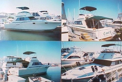 1982 Ford Bronco - Boats moored in a marina, with one vessel clearly marked 'C-WED' on its rear.