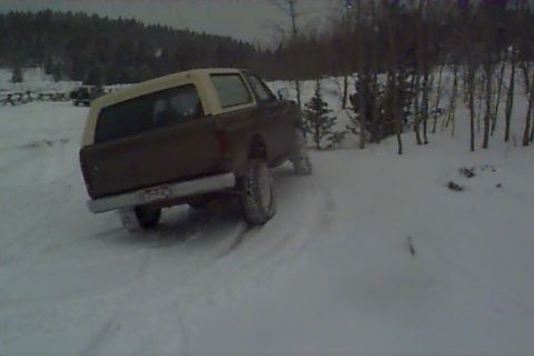 1980 Ford Bronco - Here's my '80 TTB trying to flex.
