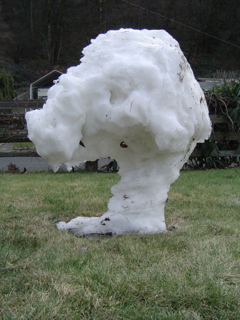 1989 Ford Bronco - Thawing snowball
