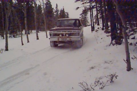 1980 Ford Bronco - A 1978 Ford Bronco navigates a snow-covered path surrounded by trees.