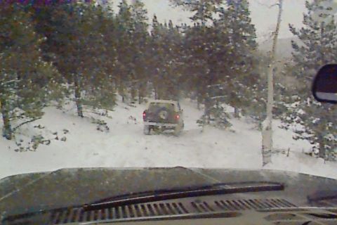 1980 Ford Bronco - A tan SUV navigates a snowy forest road, with another vehicle ahead in the distance.