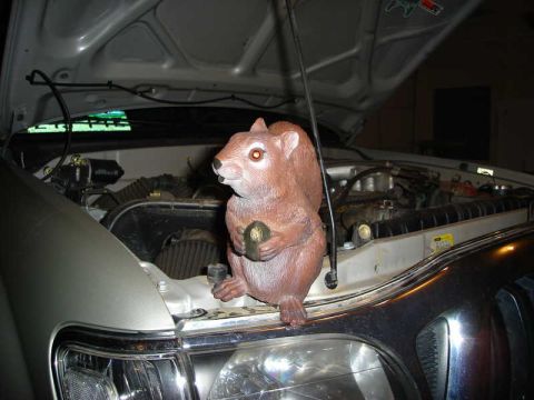 1987 Suzuki Samurai - A squirrel figurine is placed on the engine of a car with its hood open.