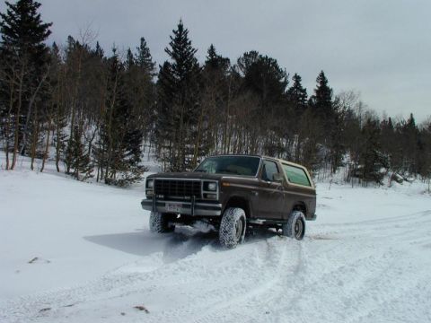 1980 Ford Bronco - 1980 Ford Bronco navigates a snowy landscape with dense trees lining the horizon.