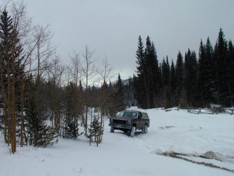 1980 Ford Bronco - A dark SUV is parked in a snow-covered clearing surrounded by trees.