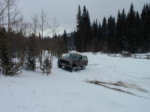 1980 Ford Bronco - A 1980 Ford Bronco navigates a snowy landscape with pine trees in the background.