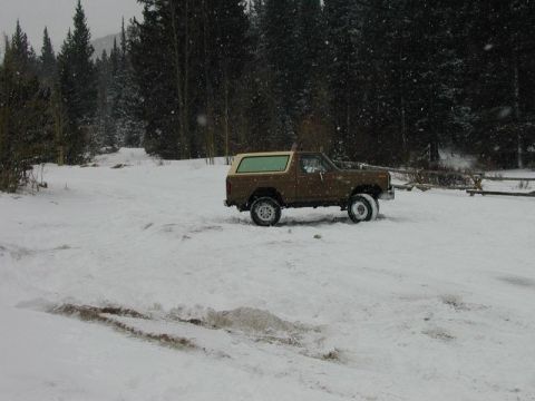 1980 Ford Bronco - 1980 Ford Bronco in a snowy forest setting.