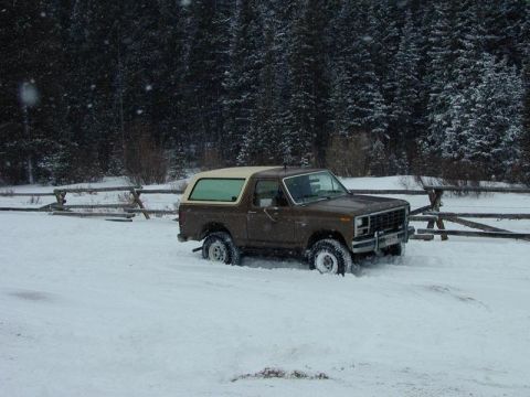 1980 Ford Bronco - A classic Ford Bronco navigates a snowy landscape, surrounded by pine trees and a rustic wooden fence.