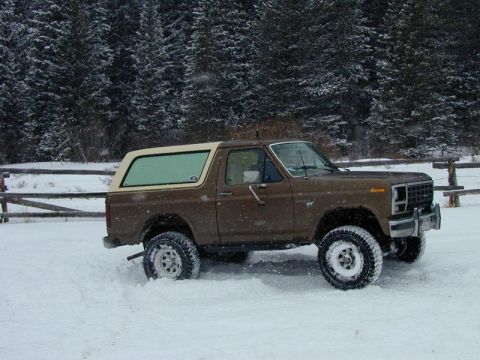 1980 Ford Bronco - This is what a rough country 2.5" lift looks like on an '80 full size Bronco. I think it's a little taller than that.