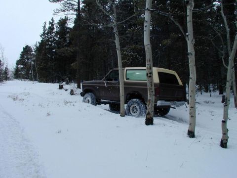 1980 Ford Bronco - First one to try going up.
