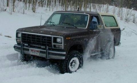 1980 Ford Bronco - This 1980 Ford Bronco navigates a snowy path, with trees in the background.