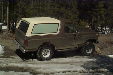 1980 Ford Bronco - Found a rock to try some flex.