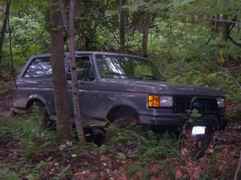1989 Ford Bronco - This Ford Bronco appears to be from the late 1980s, possibly a 1987 model, and is situated in a wooded area.