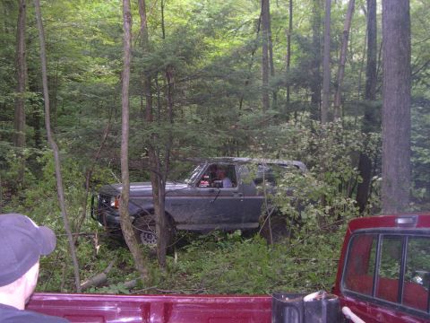 1989 Ford Bronco - A dark gray Ford Bronco is partially obscured by trees and brush in a forest setting.