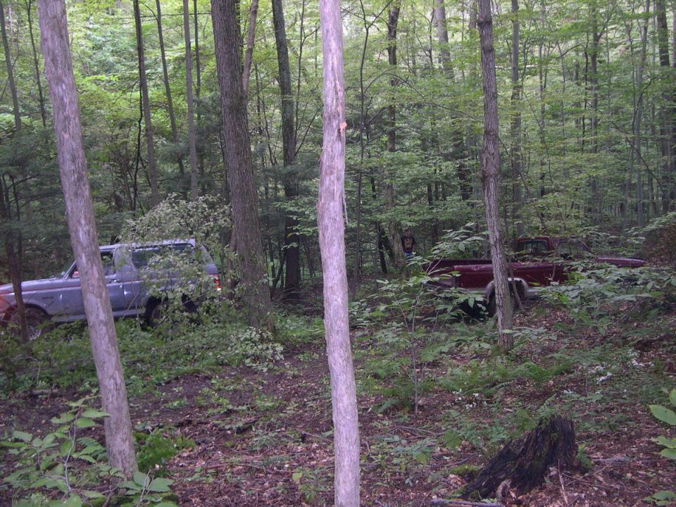 Gray SUV and red pickup truck parked in a wooded area