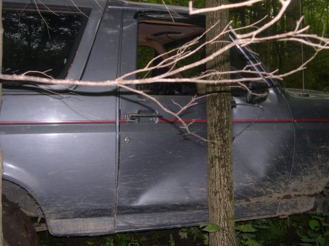 1989 Ford Bronco - A gray Ford Bronco with a red stripe is seen in the woods, with a dent on its side panel.