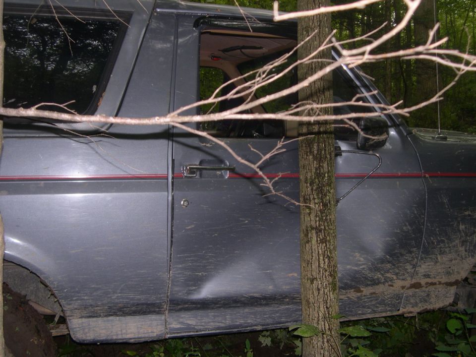 Gray Ford Bronco with red stripe, dented side panel, parked in woods