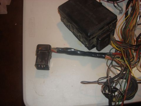 1983 Ford Bronco - this end goes to the motor and all its sensors. i not pulled anything from it so i wrapped it backup.