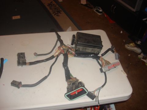 1983 Ford Bronco - Here is the under the hood or motor harness ready to be installed. I still going to get the sprial cover after it is running.