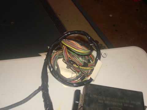 1983 Ford Bronco - this wires goto the front of the engine compartment.