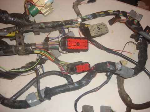 1983 Ford Bronco - This is the plug side of the wiring