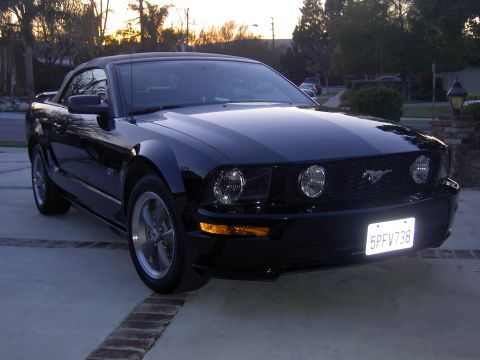2005 Ford Mustang photo